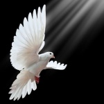 Слово във вторник на Страстната седмица