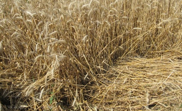 Предстоящи събития в страната 