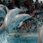 11 август в годините назад 