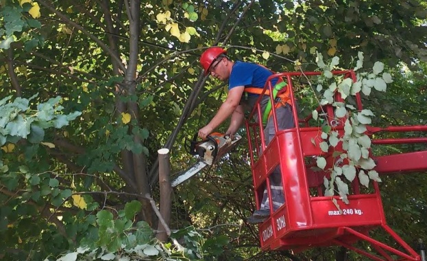 Екипи на ЕНЕРГО-ПРО извършват ремонти и обслужване на мрежата в Провадия