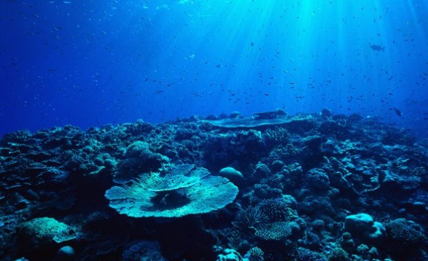 Гръцки кораб ще изследва акваторията на Черно море  