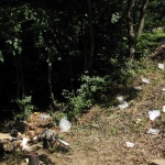 Сдружение „За Земята” организира почистване на Национален парк „Рила”