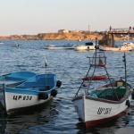 Светлинно шоу и гръцки звезди за петия Рибен фест в Царево