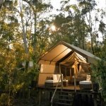 Кацнал на едно дърво... Или що е то глемпинг?