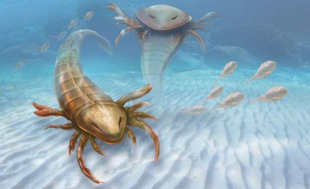 Скорпион с човешки размери живял на Земята преди 460 млн. години 