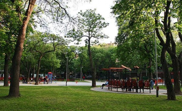 Баба заряза внучето си на пъпа на София