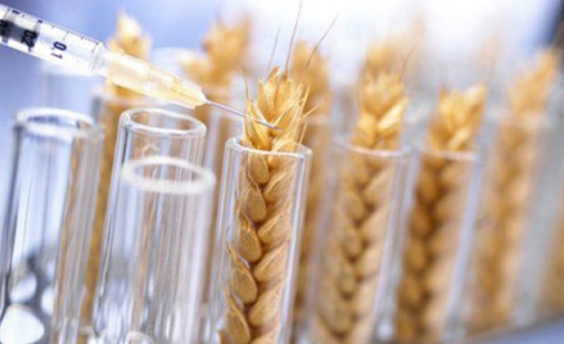 Комисията по земеделието в ЕП отхвърли възможността държавите в ЕС да забраняват ГМО