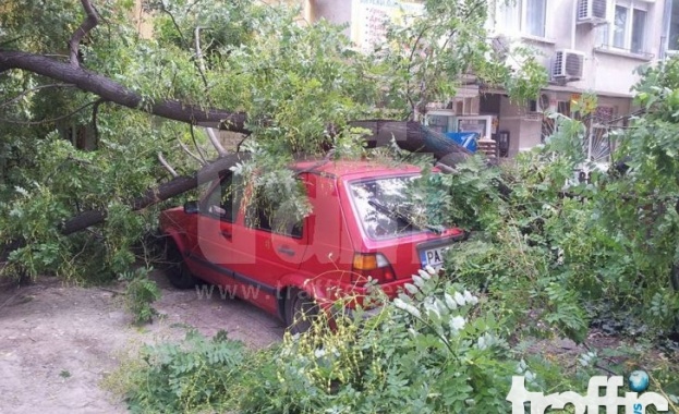 Клон премаза кола в Пловдив