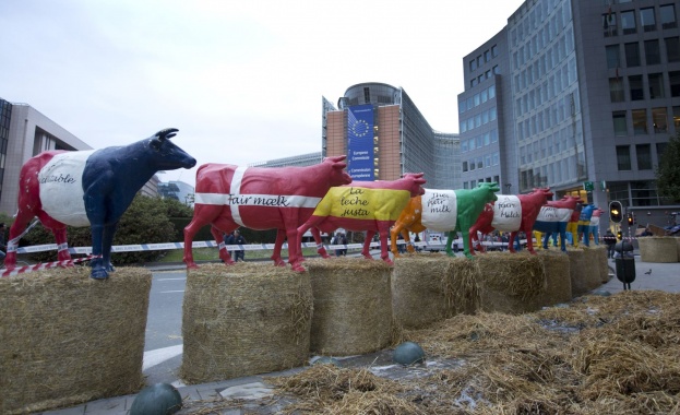 Хиляди фермери протестират в Брюксел. ЕК отпуска спешна помощ от 500 млн. евро