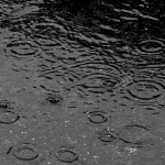 Предстоящи събития на 14 март