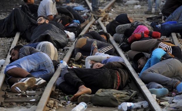 Заловиха десетки мигранти на турско-българската граница