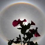 Рождениците днес