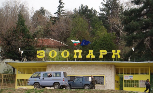 Вълк избяга от зоопарка в Благоевград