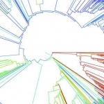 Има две житейски правила: Правило 1...