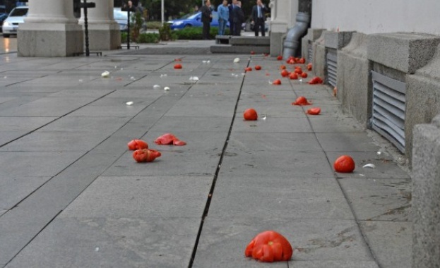 Цачева се ядоса на Босия и доматите му  