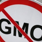 Дворкович: Русия няма да произвежда продукти с ГМО