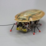 Руски учени създадоха робот-разузнавач, изглеждащ като хлебарка