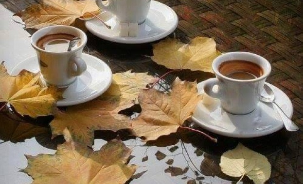 Вижте по колко чаши от разведряващата течност може да пиете