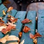 Предстоящи събития в страната 