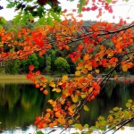 Предстоящи събития за 13 октомври