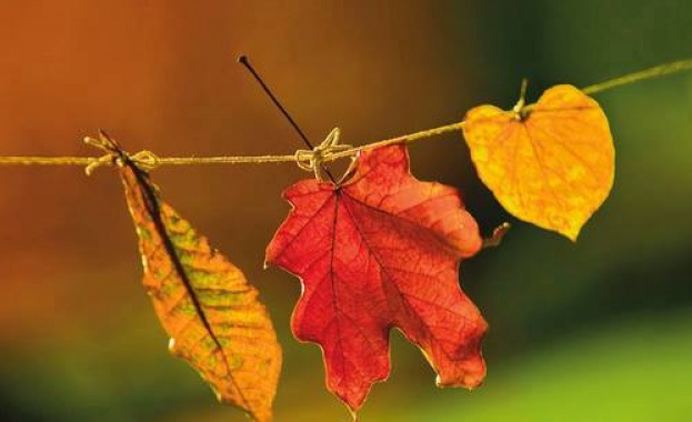 Рождениците днес 