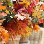 Предстоящи събития на 6 ноември 2017