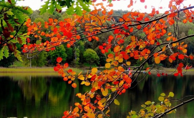 Предстоящи събития за 13 октомври