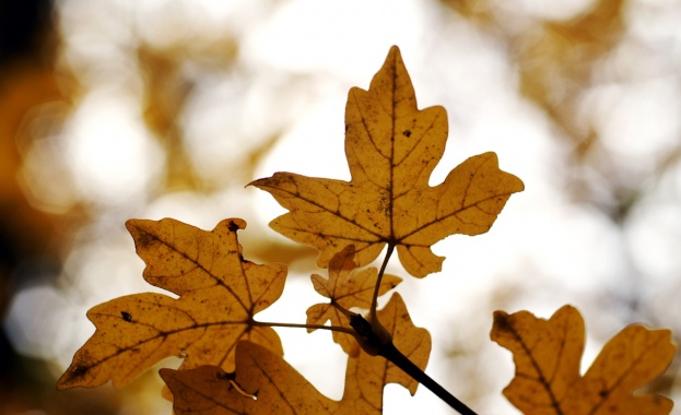 Предстоящи събития 