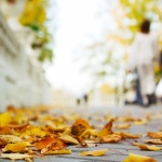 Предстоящи събития в страната 