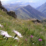 Развиват туризма в Национален парк „Централен балкан"