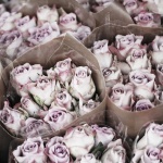 Родени на 9 август