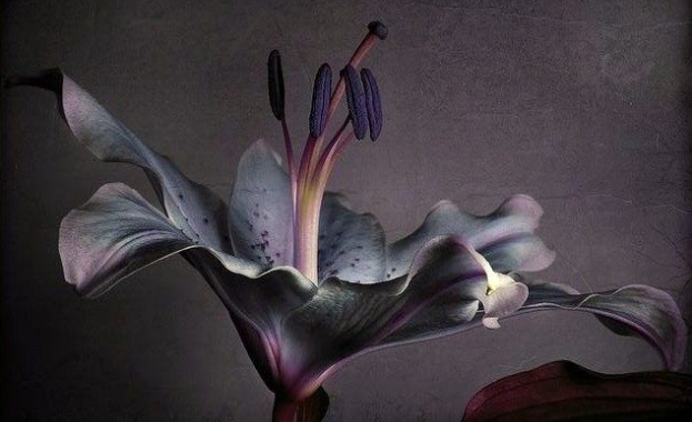 Честит празник на...