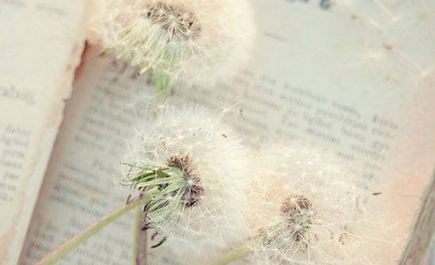 Всеки бизнес е просто идея как да направиш живота на