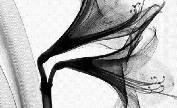 Рождениците днес 