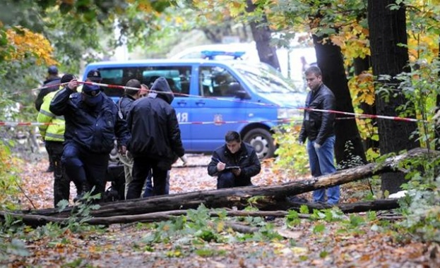 Дървото, което уби мъж в Борисовата градина, се е изтръгнало от корена си