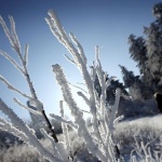 Вижте какво ще се случи днес - 23 януари