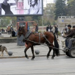Размерът на линията на бедност през 2016 г. е 300 лева