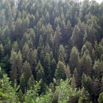 Съвети за безопасен поход в планината