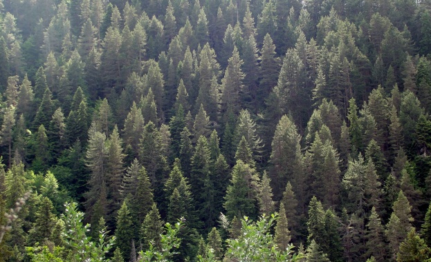 Няколко трудни акции за планинските спасители в началото на август