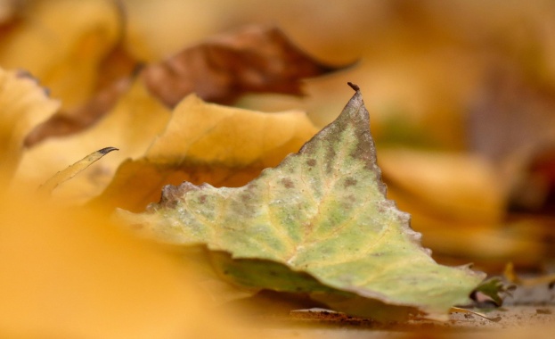 НИМХ: Слънце и температури до 20° в четвъртък
