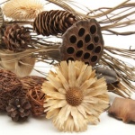 Днес да почерпят...