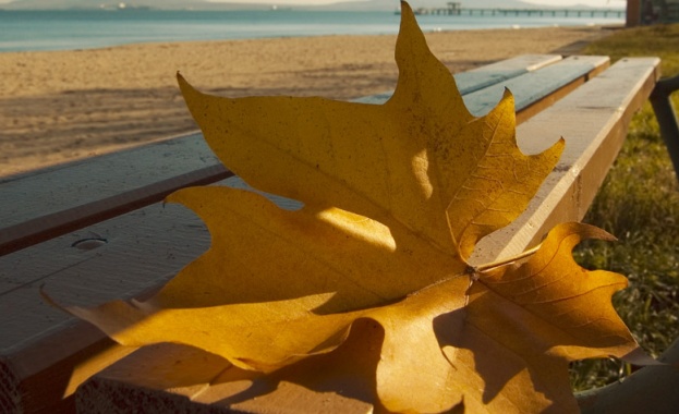 Сиромашко лято до края на седмицата. Живакът ще се качи до 25 градуса 