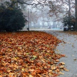 Предстоящи събития в страната за 8 ноември 