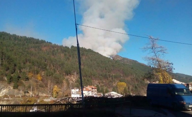 Бързата реакция е предотвратила разрастване на огъня край Смолян