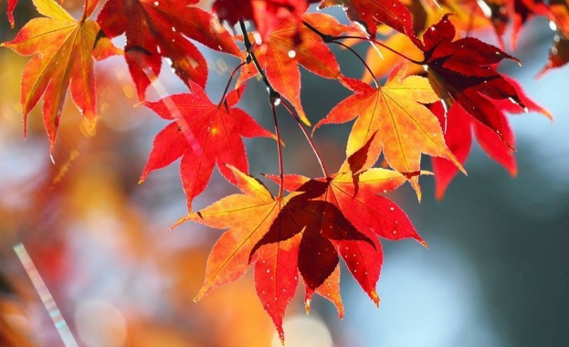 Златна есен през октомври - слънце, дъжд, че и сняг в края на месеца