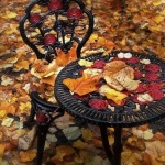 Предстоящи събития в страната за 29 октомври