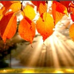 Къде какво в страната днес