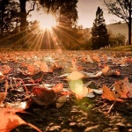 Предстоящи събития в страната за 10 октомври 2019 г.