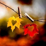 Събитията в София и страната днес