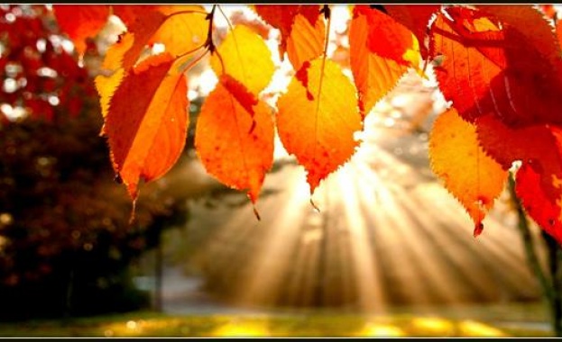 Златна есен: И новата седмица започва с топло време 